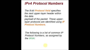 IPv4 protocol numbers