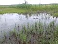 Welcome To Uganda 
