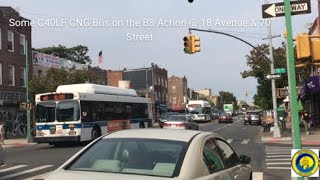 NYCT Bus - Some C40LF CNG on the B8 Action @ 18 Avenue & 70 Street