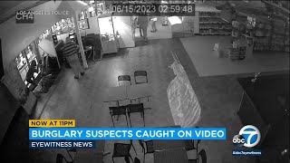 Surveillance video gives new angle of mob-style burglary targeting Northridge strip mall