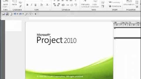 Top Ten Oddities in MS Project 2010 - Number 4: The Auto Filter