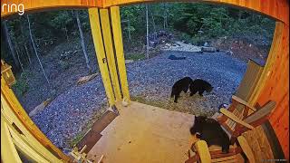 RingVideo 20251012 080408 1