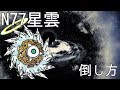 [スイッチ版]N77星雲苦労しましたわ！！[ふたりで!にゃんこ大戦争]