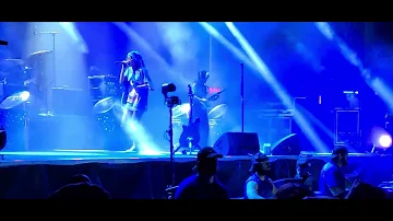 Willow - Wait A Minute! (LIVE @ Lollapalooza 2022)