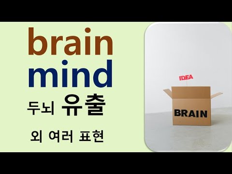 Q5 English 어휘 Lesson 1067 Brain Vs Mind 3 머릿속에 가장 똑똑한 두뇌 두뇌 유출 뇌의 산물 