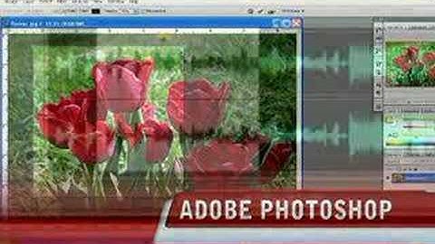 Multimedia in the Classroom