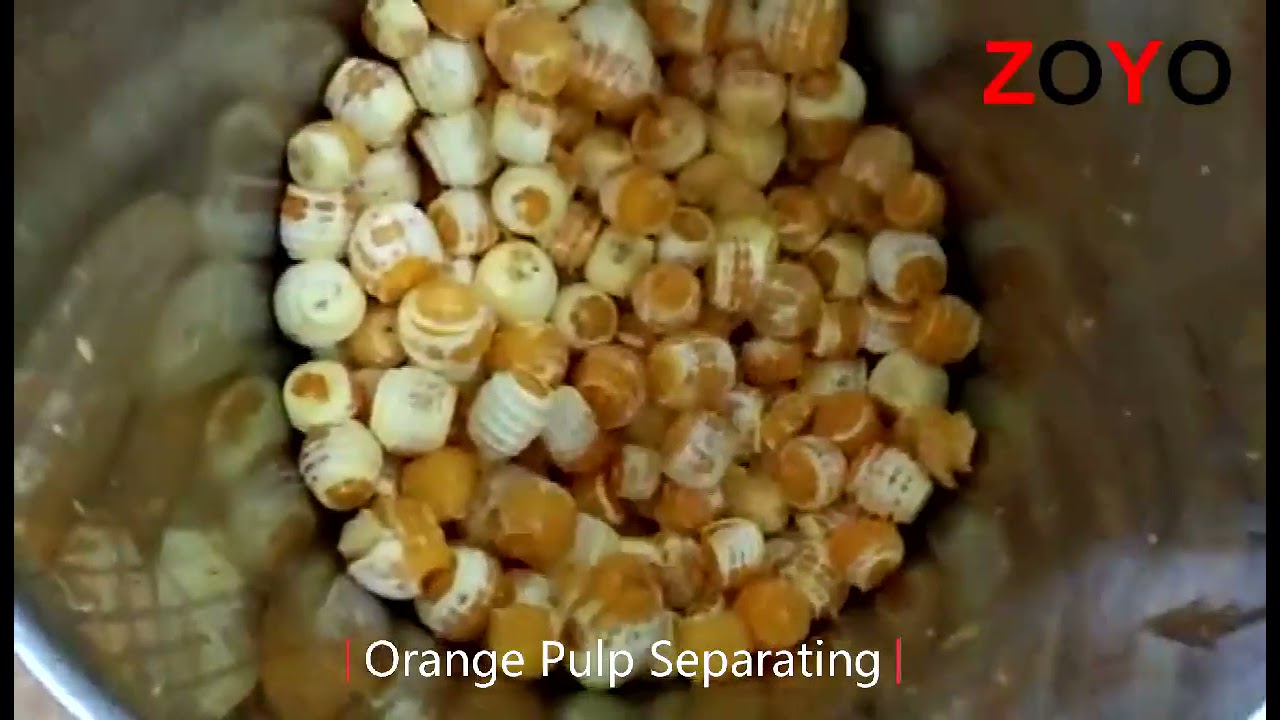 Orange Pulp Separating Machine - YouTube
