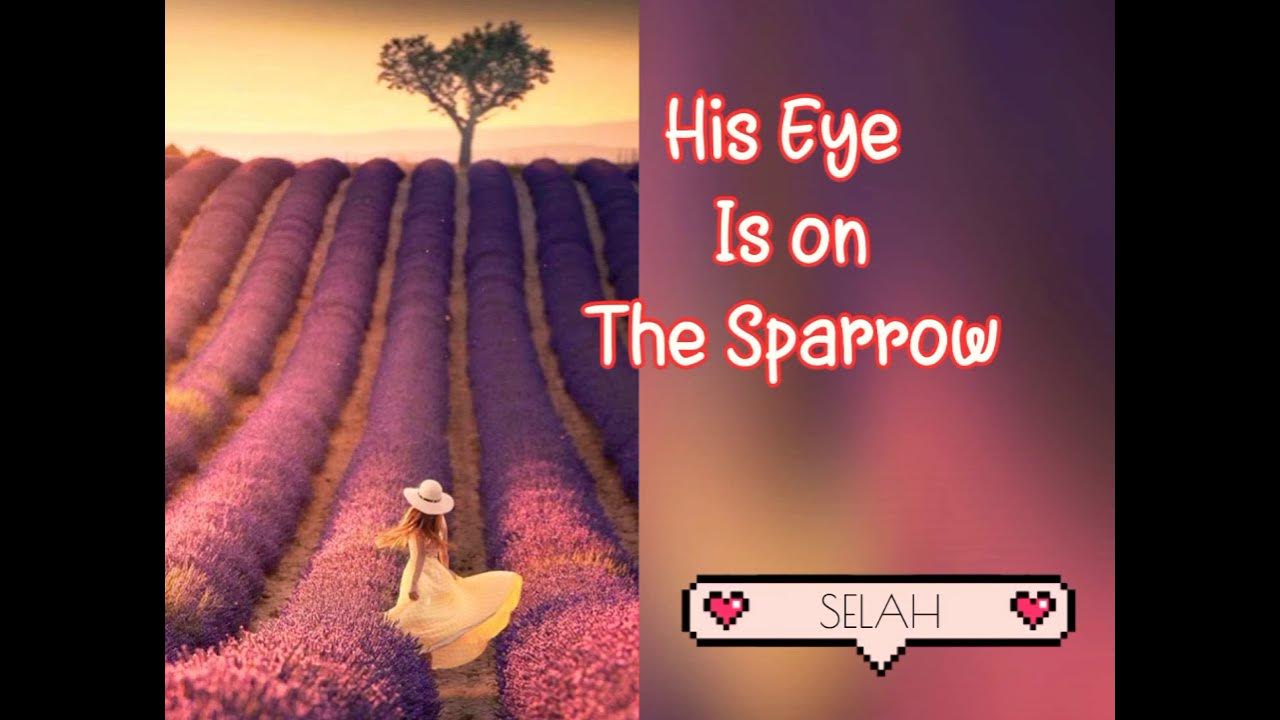 Selah His Eye Is On The Sparrow HIS EYE IS ON THE SPARROW LYRICS SELAH COVER MAYASARI - YouTube