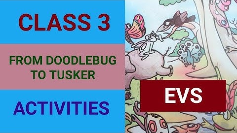 CLASS 3 / ENGLISH MEDIUM / UNIT 2 / ENVIRONMENTAL SCIENCE / FROM DOODLEBUG TO TUSKER / Nisa NA