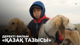 «ҚАЗАҚ ТАЗЫСЫ». Деректі фильм