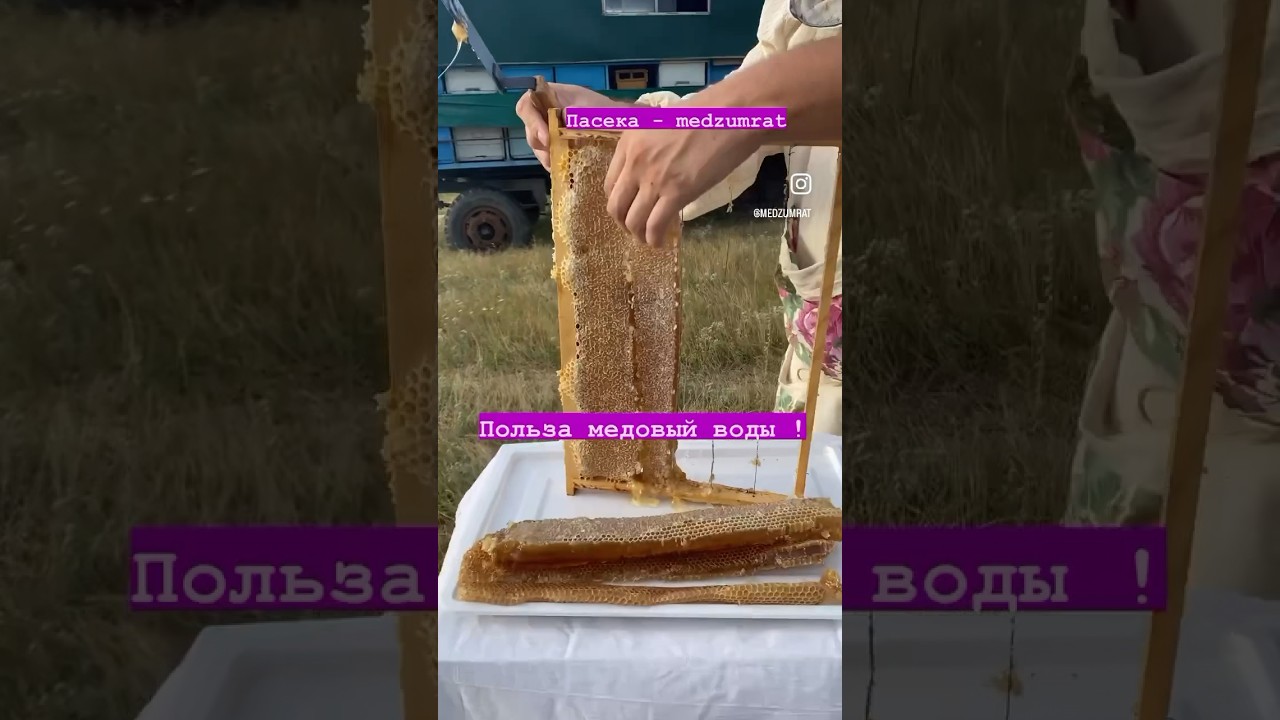 Утром натощак на 1 стакан воды одну ложку мёда вода должна быть теплая !