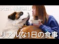 【大食い】大食いYouTuberのリアルな1日の食事を撮影してみた！