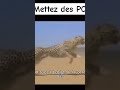 Mettez des pov en commentaire