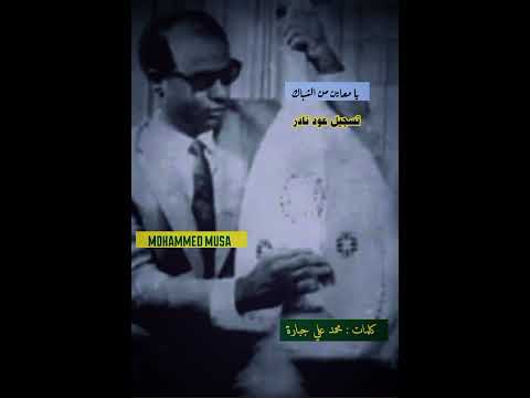 محمد الأمين الشباك عود نادر