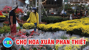 Phan Thiết: Chuẩn bị chợ Tết Nguyên Đán Giáp Thìn 2024