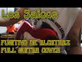 Fugitivo de Alcatraz - Los Saicos | Full Guitar Cover