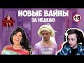 СТИНТ СМОТРИТ: НОВЫЕ ВАЙНЫ ЗА НЕДЕЛЮ (#gan_13_)