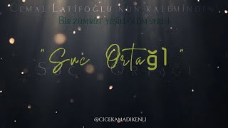 Suç Ortağı / (Bizi Ayıran Çizgi) - Cicekamadikenli