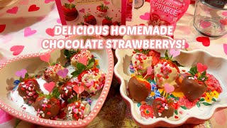 ❤️HAPPY VALENTINE'S DAY! FAVORITE DAY STRAWBERRY KIT! EASY TO MAKE CHOCOLATE COVERD STRAWBERRIES❤️ by Journey with Char 142 views 2 months ago 8 minutes, 3 seconds