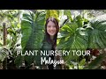 Plant Nursery Tour in Malaysia | Exotic, Rare & OVERSIZED Tropical Plants (with 40+ plant IDs)