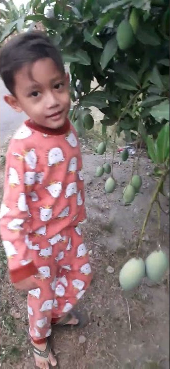 MAKAN MANGGA DI POHON? KABUUR# SHORT