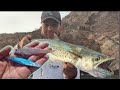 INCREÍBLE!!!...PESCA DE SIERRAS (macarelas) || Pesca con JIG en la SUPERFICIE.