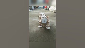 Walking With My Cow... ... - Woodworking DIY #shorts