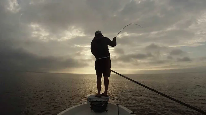 Afternoon Fly Fishing With Capt. Tyler Vollmer