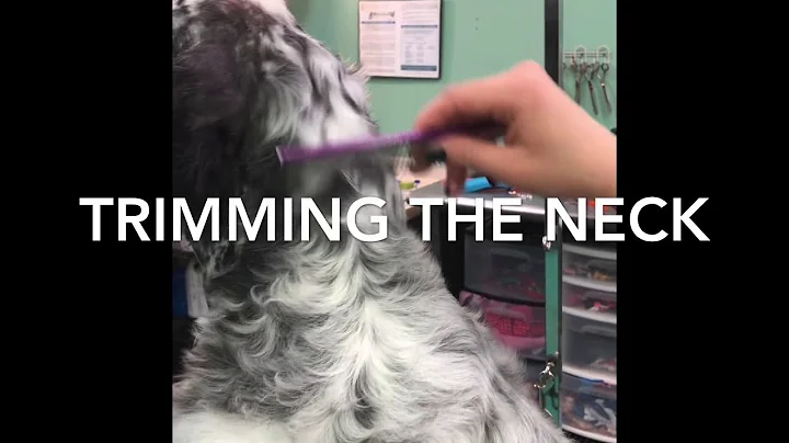 Trimming the Neck on a Setter