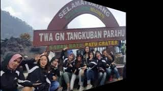 Perawan atau janda -Citacitata- || Kreasi Dangdut