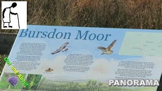 Panorama Bursdon Moor