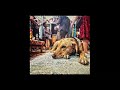    اوتوستوراد مرسال  