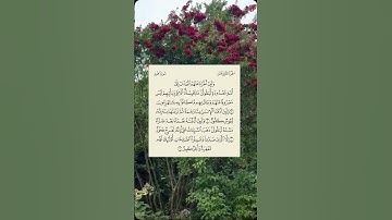 فاستمعوا له وأنصتوا | سورة هود ١ (٨ - ١١) :(ولئن أخرنا عنهم العذاب إلى أمة معدودة ليقولن ما يحبسه …)