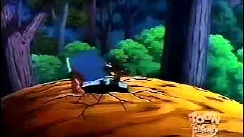 DonaldDuck   All In A Nutshell 1949)!!!   YouTube