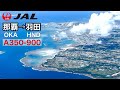 【JAL 日本航空】　那覇→羽田　エアバスA350-900 クラスＪ　空撮