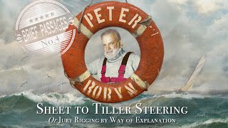 Sheet to Tiller Self Steering
