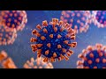 Coronavirus treatment: The difference between antibody treatment and vaccines explained