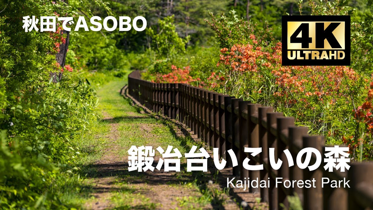 子供の遊び場 公園 鍛冶台いこいの森 ツツジ咲く散歩道 秋田でasobo 4k 高画質 Youtube