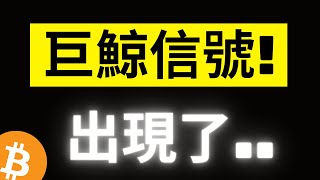 比特幣爆拉5000美金! 鏈上大鯨魚跟散戶出現完全相反操作，但跟以往有些不同..!? Vanguard 急忙撇清越撇不清? [字幕]