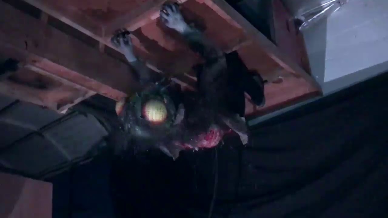 Hanging Fly Animated Prop
