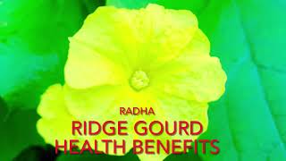 Ridge gourd: Health Benefits of Ridge Gourd -by radha lagadapati7