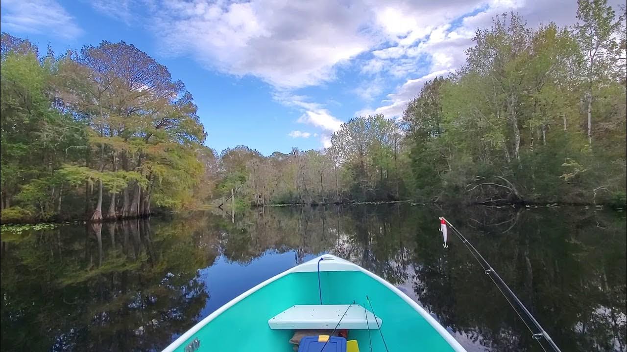 1959 alumacraft fd redone! withlacoochee river Dunnellon Florida 15 hp