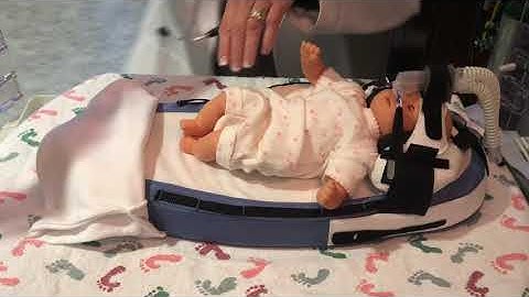 Transportle Demo Video