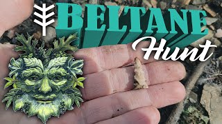 Arrowhead and Projectile point hunting in the Missouri Ozarks - Beltane hunt