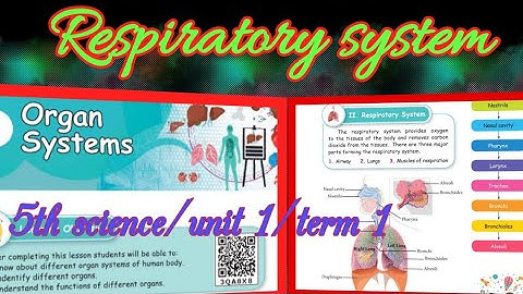 Organ systems(part-2)/ Respiratory system/ 5th standard/ science/ unit 1 /term 1 /Samacheer kalvi