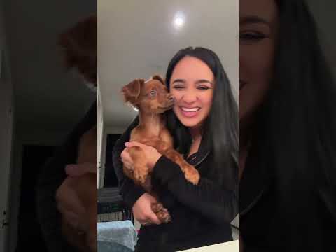 🔥😎 / XO TEAM TikTok #xoteam #tiktok #shorts #tiktoktrend