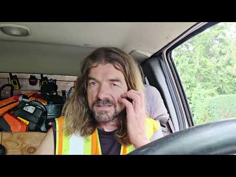 20 minutes of Tree Talk Q&A