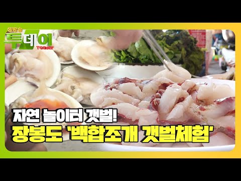 장봉도 ‘<strong>백합조개</strong> 갯벌체험’ㅣ생방송 투데이(Live Today)ㅣSBS Story