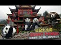 VLOG Travel #03 - (PART1) Ada Giant Panda di Taman Safari Indonesia Cisarua (Cai Tao & Hu Chun)