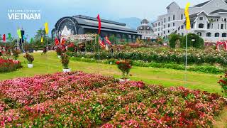 Horseshoe in the Clouds - The most unique horse racing tournament in Vietnam